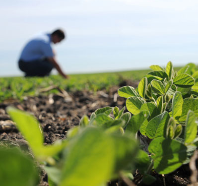 El día de la independencia… de los ingenieros agrónomos