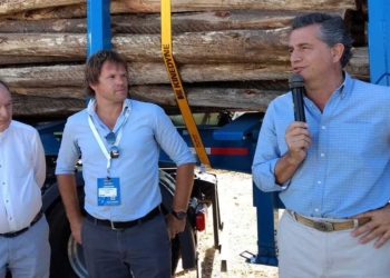 Como le sucedió a Etchevehere, el director de Forestación deberá tomar distancia de sus empresas