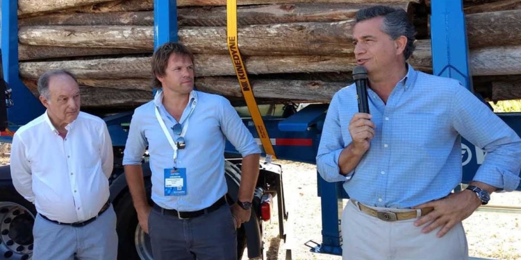 Como le sucedió a Etchevehere, el director de Forestación deberá tomar distancia de sus empresas