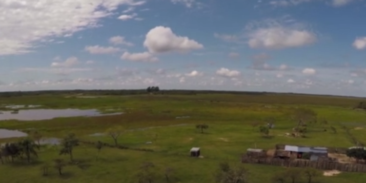 Sabores y Saberes: El reviro de charquí de Palmar Grande