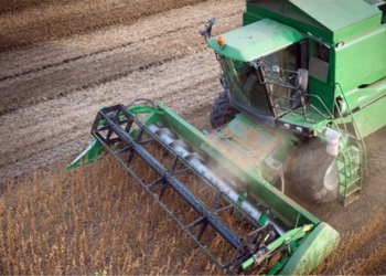 Quién gana y quién pierde con la importación de soja de Estados Unidos, según Carlos Etchepare