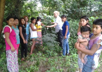Sabores y Saberes: Mirta Romero, la que amasa los colores de su selva misionera