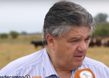 Ulises ‘Chito’ Forte: “Vamos a salir a promocionar fuerte un regreso a la carne de novillo”