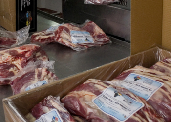 Malas nuevas: Argentina tampoco llegará a cumplir este año la Cuota Hilton