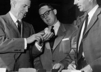 ¿De dónde viene la genética para las gallinas ponedoras?