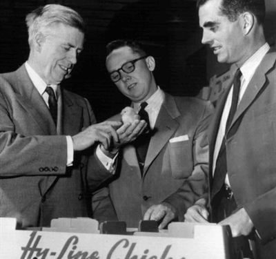 ¿De dónde viene la genética para las gallinas ponedoras?