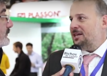 Javier Prida: “Hoy la avicultura aporta más proteína animal que la carne vacuna”