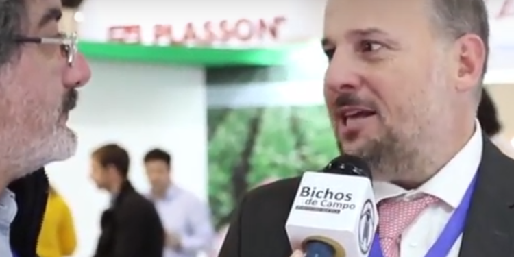 Javier Prida: “Hoy la avicultura aporta más proteína animal que la carne vacuna”