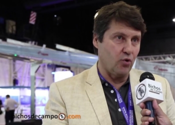 Juan Kútulas, el verdadero creador de los “huevos K”