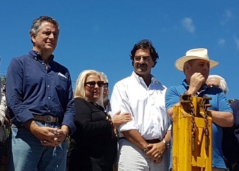 Educando a Lilita: ¿Quién tiene la soja y quién liquida las divisas?