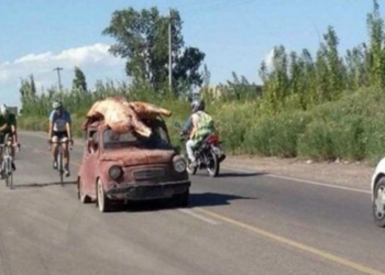 Nuevo remito electrónico para mover la media res hasta la carnicería