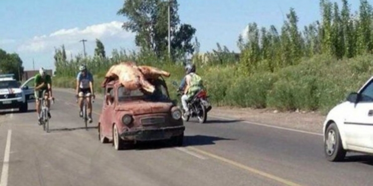 Nuevo remito electrónico para mover la media res hasta la carnicería