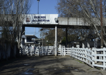 Cañuelas se impuso para la mudanza del Mercado de Liniers
