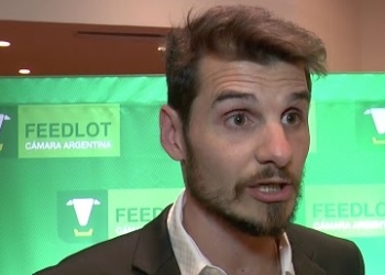 Pablo Grahmann: “Arrancar con terneros más livianos hará que a futuro falten novillos”