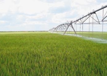 Habemus Plan Nacional de Riego: la idea es llegar a 6 millones de hectáreas en 2030