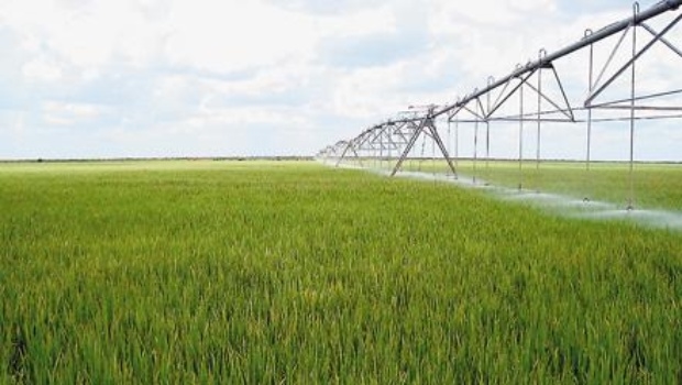 Habemus Plan Nacional de Riego: la idea es llegar a 6 millones de hectáreas en 2030