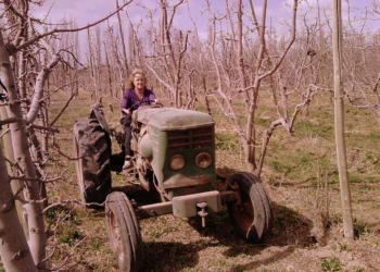 Sabores y Saberes: Bondiola con puré de manzana y pastel del Valle