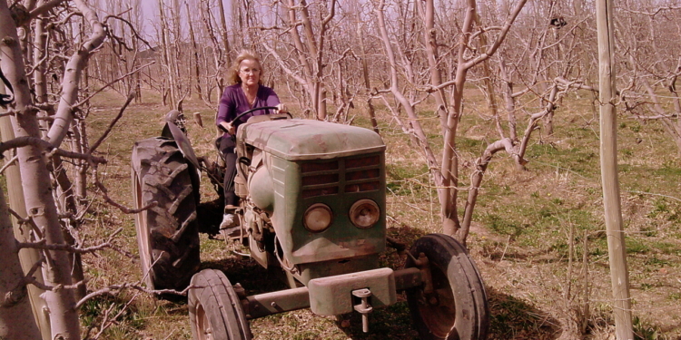 Sabores y Saberes: Bondiola con puré de manzana y pastel del Valle