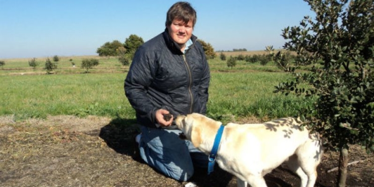 Trufas: descubriendo el ‘Oro negro’ de la gastronomía