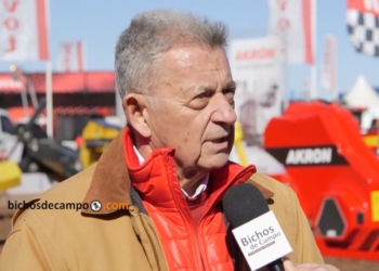 Alberto Gaviglio, de Akron: “Esperábamos 20% más de ventas y hoy estamos 15% abajo”