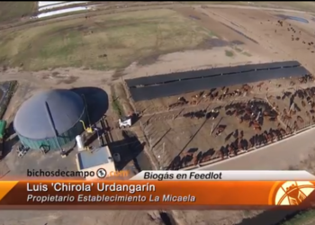 Ingresa estiércol, sale biogás y alimenta con energía a una ciudad