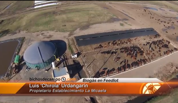 Ingresa estiércol, sale biogás y alimenta con energía a una ciudad