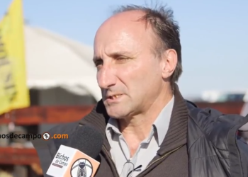 Aníbal Pordomingo: “La ganadería de hoy vive más la expectativa que el momento”