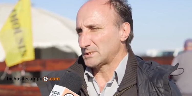 Aníbal Pordomingo: “La ganadería de hoy vive más la expectativa que el momento”