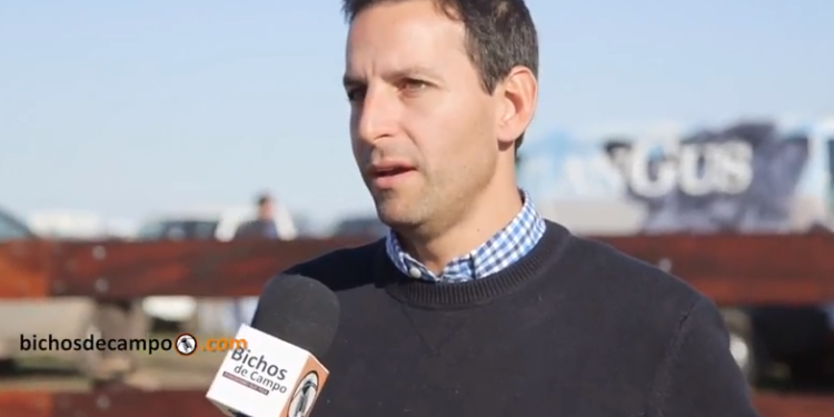 Nicolás Sosa: “Debemos gestionar la bosta y hasta sacarle provecho”