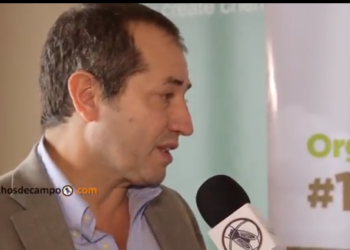 Obdulio San Martín: “Seguimos pensando en que hay una linda oportunidad con el germoplasma”