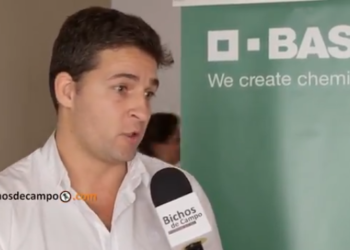 Pablo Ramírez: “Vemos la oportunidad de empezar a jugar más fuerte en el mercado de semillas”