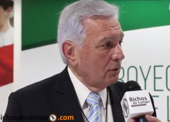 Héctor Motta: “La avicultura está en condiciones de exportar por 1.000 millones de dólares”