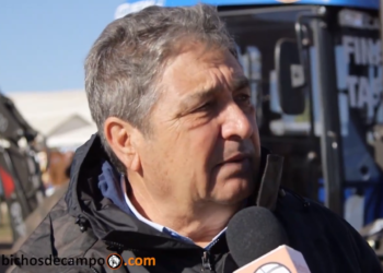 Mario Bragachini: “En maquinaria, se están demorando los créditos salvadores del Banco Nación”