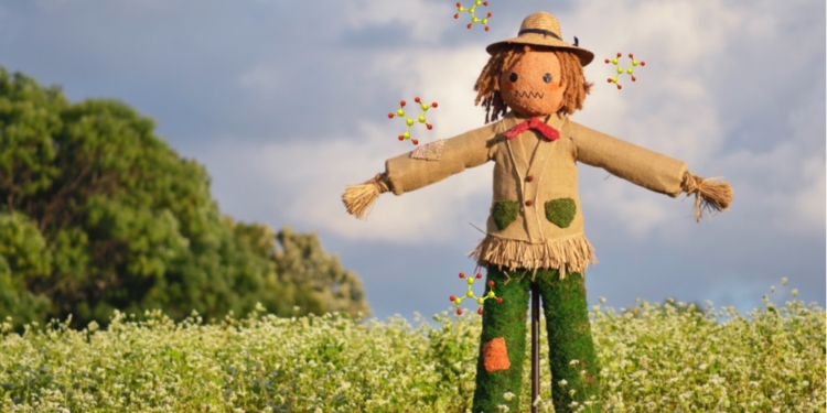 Ni Lennon imaginó tanto: plantas transgénicas con feronomas para atraer a los insectos… Y matarlos