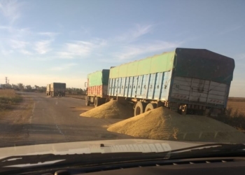 Un paro de transportistas frena el comercio agrícola en Tucumán