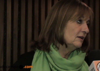 Una pregunta a Alicia Ciciliani: ¿Qué son los “corresponsables técnicos” que impulsan en Santa Fe?