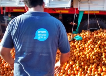 Las naranjas del NEA, con restricciones en el NOA