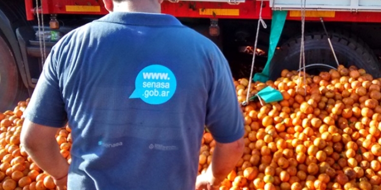 Las naranjas del NEA, con restricciones en el NOA