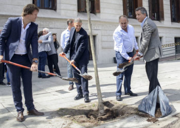 El gobierno le tomó el gustito al tema y lanza un plan forestal 2030