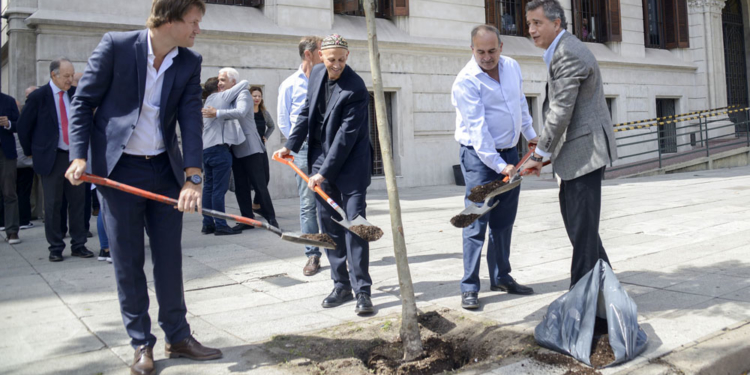 El gobierno le tomó el gustito al tema y lanza un plan forestal 2030