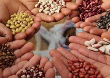 Se estanca la Ley de Semillas y los ruralistas vuelven a negociar con el gobierno