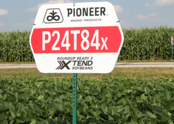 Dicamba no, Dicamba sí… Dicamba ahora que me conviene a mi…