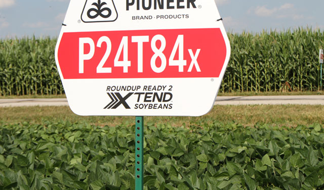 Dicamba no, Dicamba sí… Dicamba ahora que me conviene a mi…