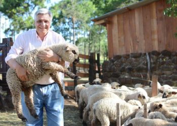 Un caso real “del campo al plato”: Montiel cría ovinos en Misiones y también los cocina
