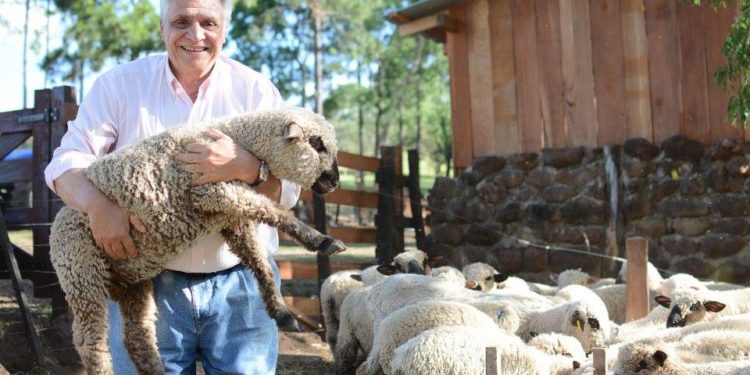 Un caso real “del campo al plato”: Montiel cría ovinos en Misiones y también los cocina
