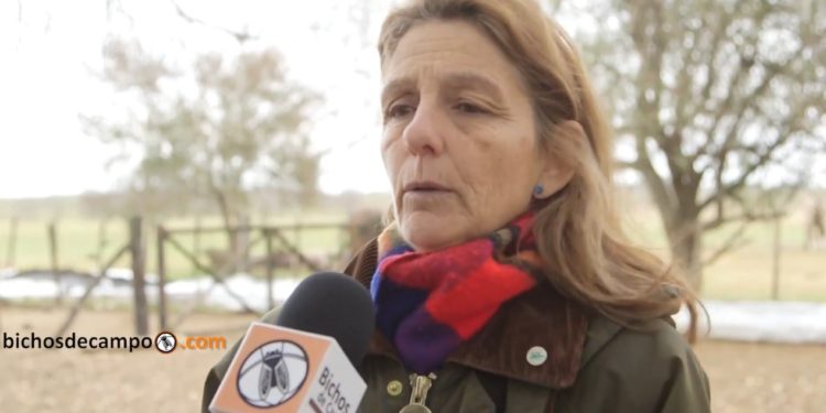 Ana Boracchia: “Hoy los frigoríficos no pagan más por un cordero pesado”