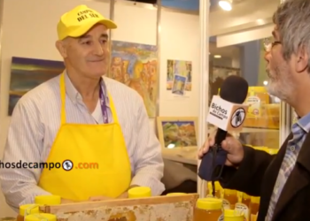 Historias de ingenio: Oscar agregó valor a su miel y triplicó el precio obtenido por kilo