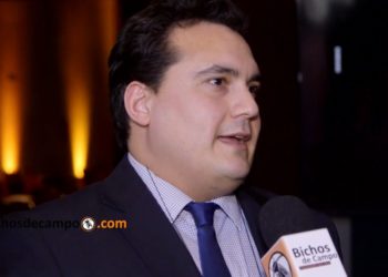 Se pagan 36 pesos de impuestos en cada kilo de carne que llega al consumidor