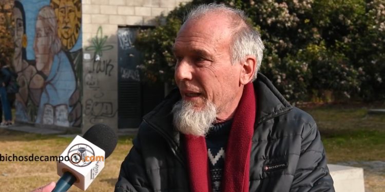 En el mercado externo, el maíz orgánico llega a valer 60% más que el convencional