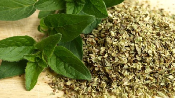 ¡Attenti a la pizza! En la Argentina se vende orégano importado adulterado